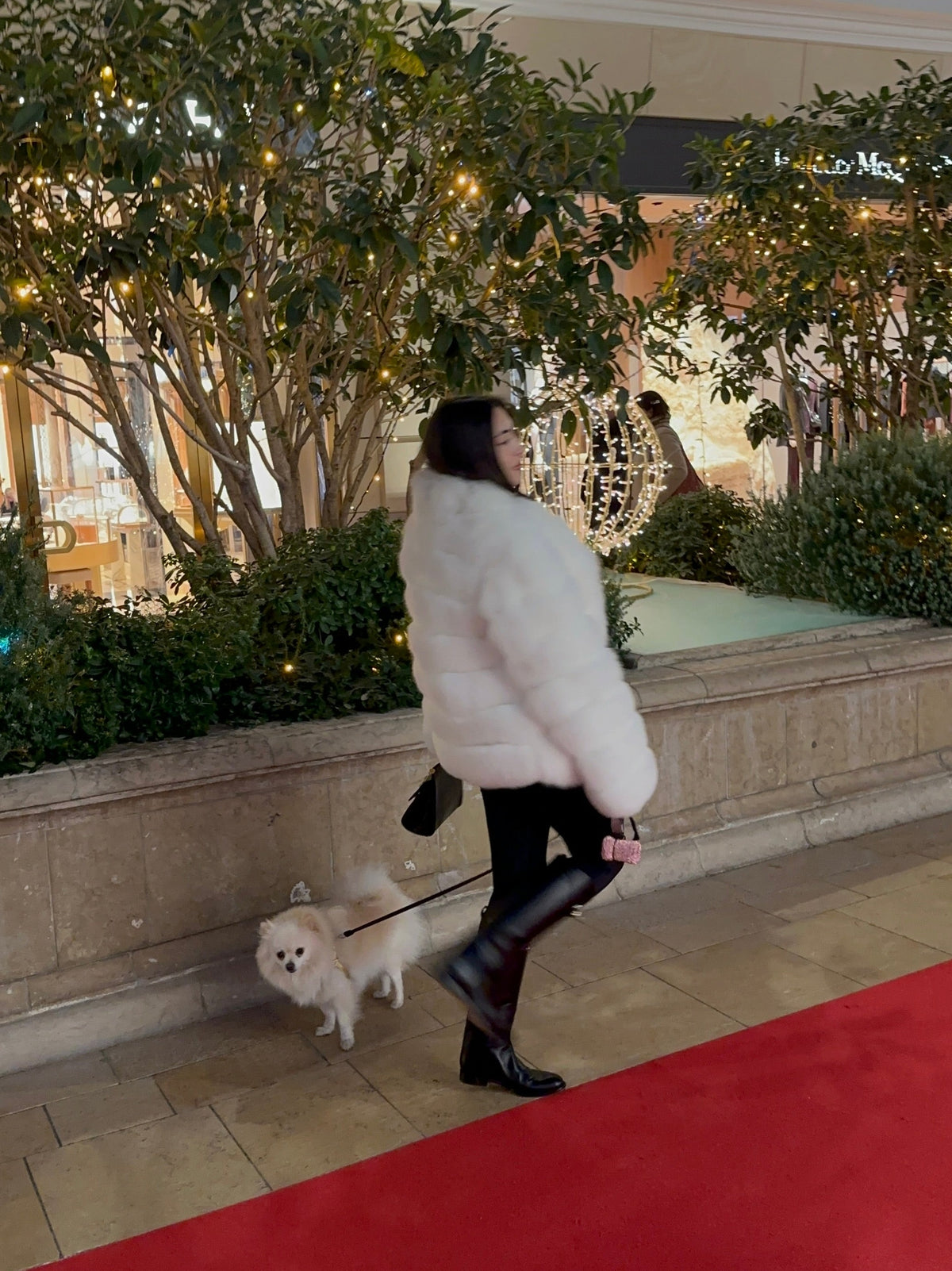 The Monte-Bianco Coat